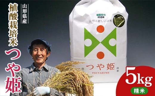 植酸栽培米つや姫（精米）5kg F2Y-4409