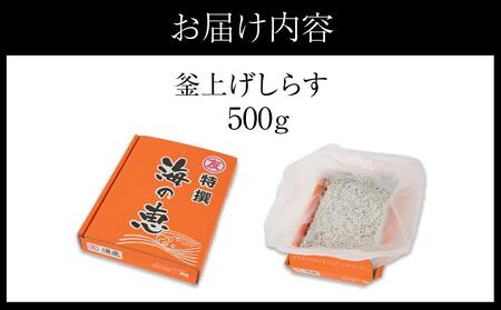 紀州湯浅湾直送!海の恵 茹でたて釜揚げしらす 500g 【冷蔵】