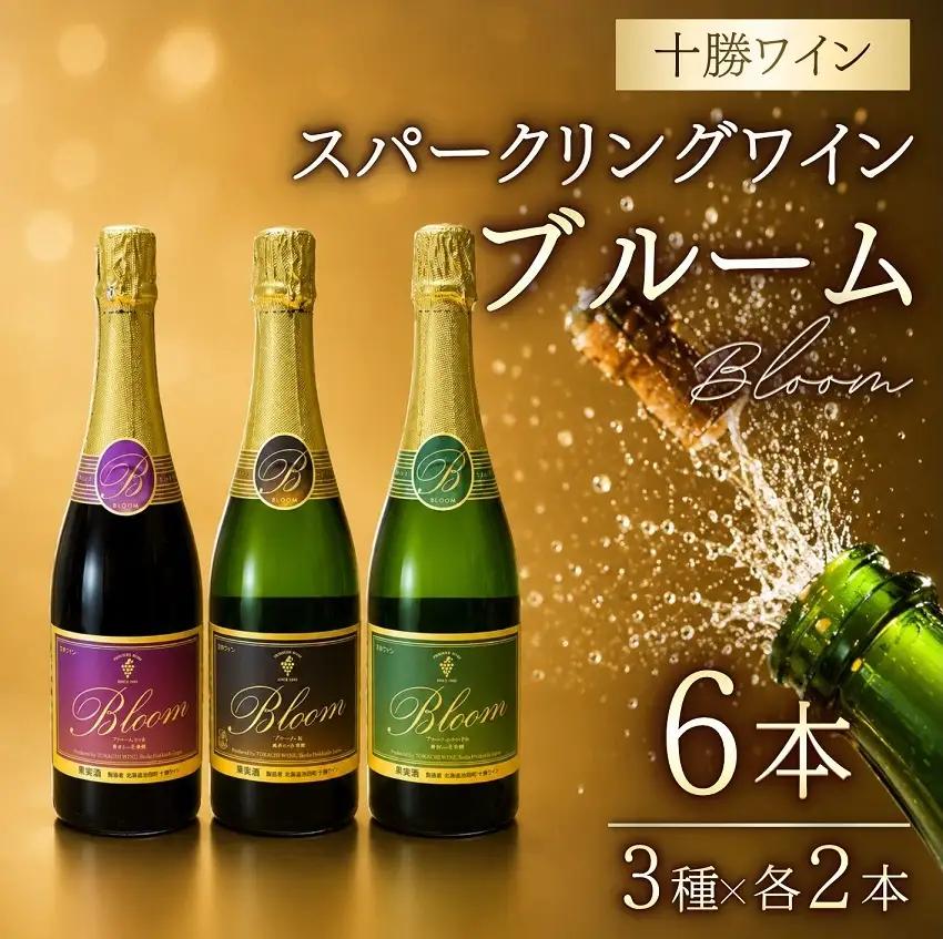 十勝ワイン ブルーム6本セット スパークリング 北海道ワイン シャルドネ 山幸 白 食前酒 お祝い 辛口 