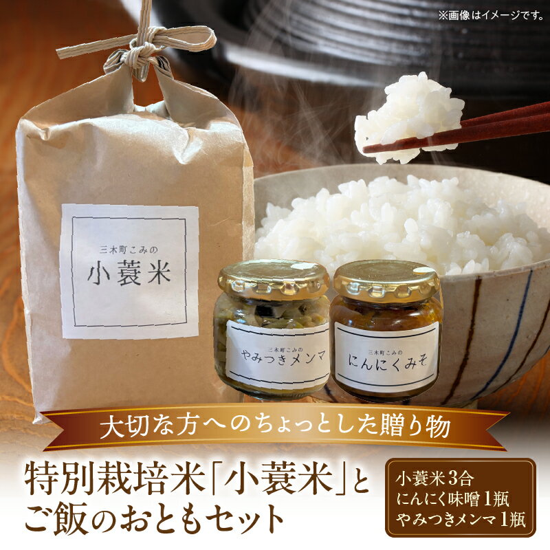 【ふるさと納税】特別栽培米「小蓑米」と ご飯のおとも（にんにく味噌とやみつきメンマセット） お米 ご飯 ごはん 白米 にんにく 味噌 メンマ お供 朝ごはん 香川県 三木町 プレゼント 贈り物 国産 ブランド米 送料無料