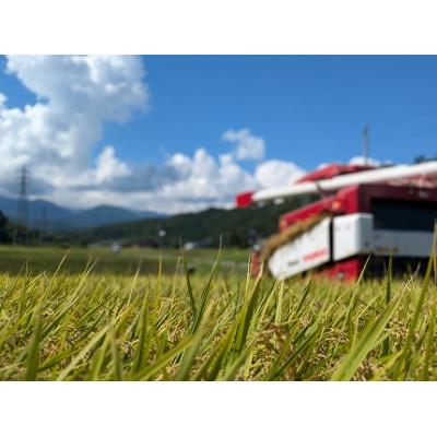 ふるさと納税 中川村 信州産コシヒカリ「桃つや米」5kg |  | 01