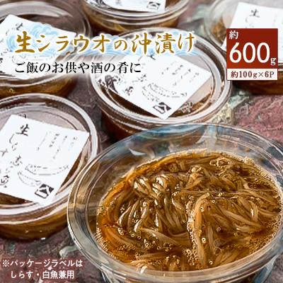 ふるさと納税 旭市 生シラウオの沖漬け600g(100g×6P)