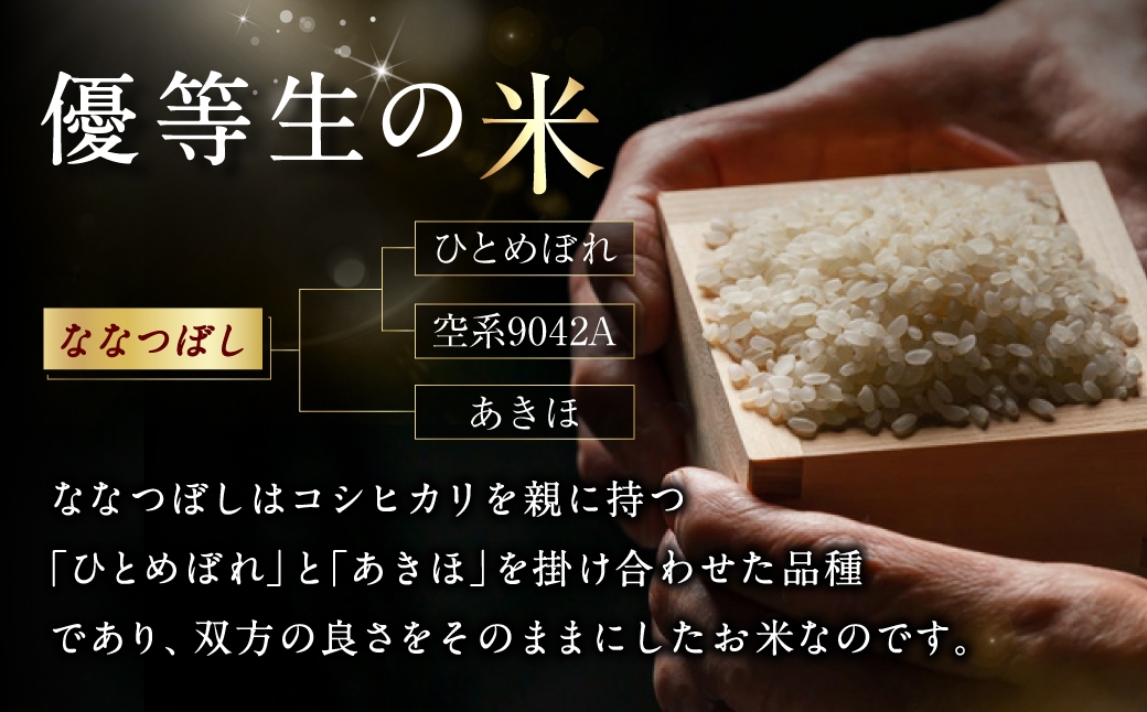 北海道産ゆめぴりか約10kg五つ星お米マイスター監修★（約5kg×2袋）