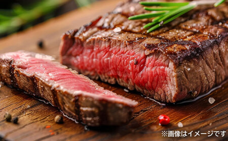 佐賀牛モモステーキ500g / 佐賀牛 牛肉 赤身 ステーキ / 佐賀県 / やま田商店[41AAAR005]