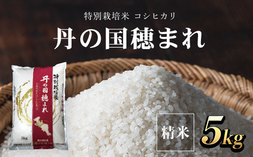 
                  ＜令和7年産＞特別栽培米 コシヒカリ 丹の国穂まれ(精米5kg) 【fc-CR004】【京都丹の国農業協同組合】
                