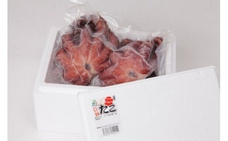 大阪産 泉タコ(ボイルたこ)1.2kg_NA33