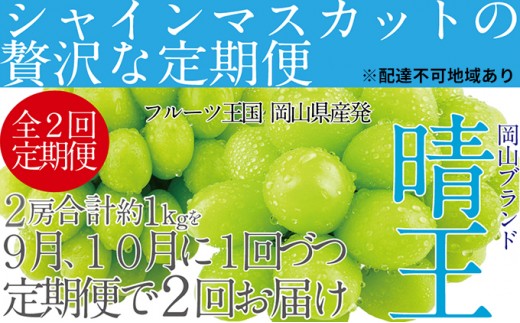 
            ぶどう2026年 先行予約 9月・10月発送 シャイン マスカット 晴王 2房（合計約1kg） ブドウ 葡萄  岡山県産 国産 フルーツ 果物 ギフト 
          