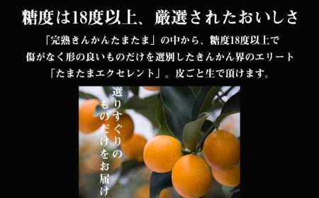 《2025年発送先行予約》【期間・数量限定】完熟きんかん たまたまエクセレント 1kg きんかん フルーツ 数量限定