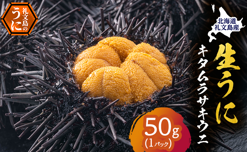 北海道 礼文島産 採れたて ミョウバン不使用 キタムラサキウニ 塩水パック 50g×1個［株式会社やまじょう］【 うに ウニ 雲丹 生うに 塩水うに キタムラサキウニ 滅菌海水 海鮮 うに丼 濃厚 甘み 】