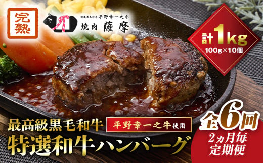 
＜2ヵ月毎定期便＞特選和牛(焼肉薩摩の完熟平野幸一之牛)ハンバーグ10個全6回【4050394】
