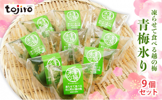 
                  凍らせて食べる越の梅 「青梅氷り」 9個セット 新潟県田上町
                