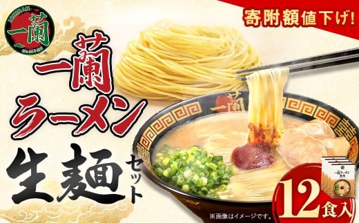 一蘭ラーメン生麺セット （12食入）【2025年12月発送予定】  一蘭 ラーメン 生麺 麺 豚骨