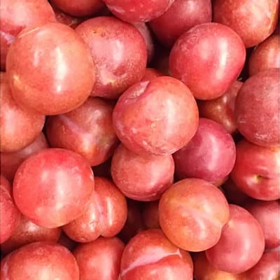 【のし付き・お歳暮】ふかざわ農園の梅すももシロップ　A3-28S