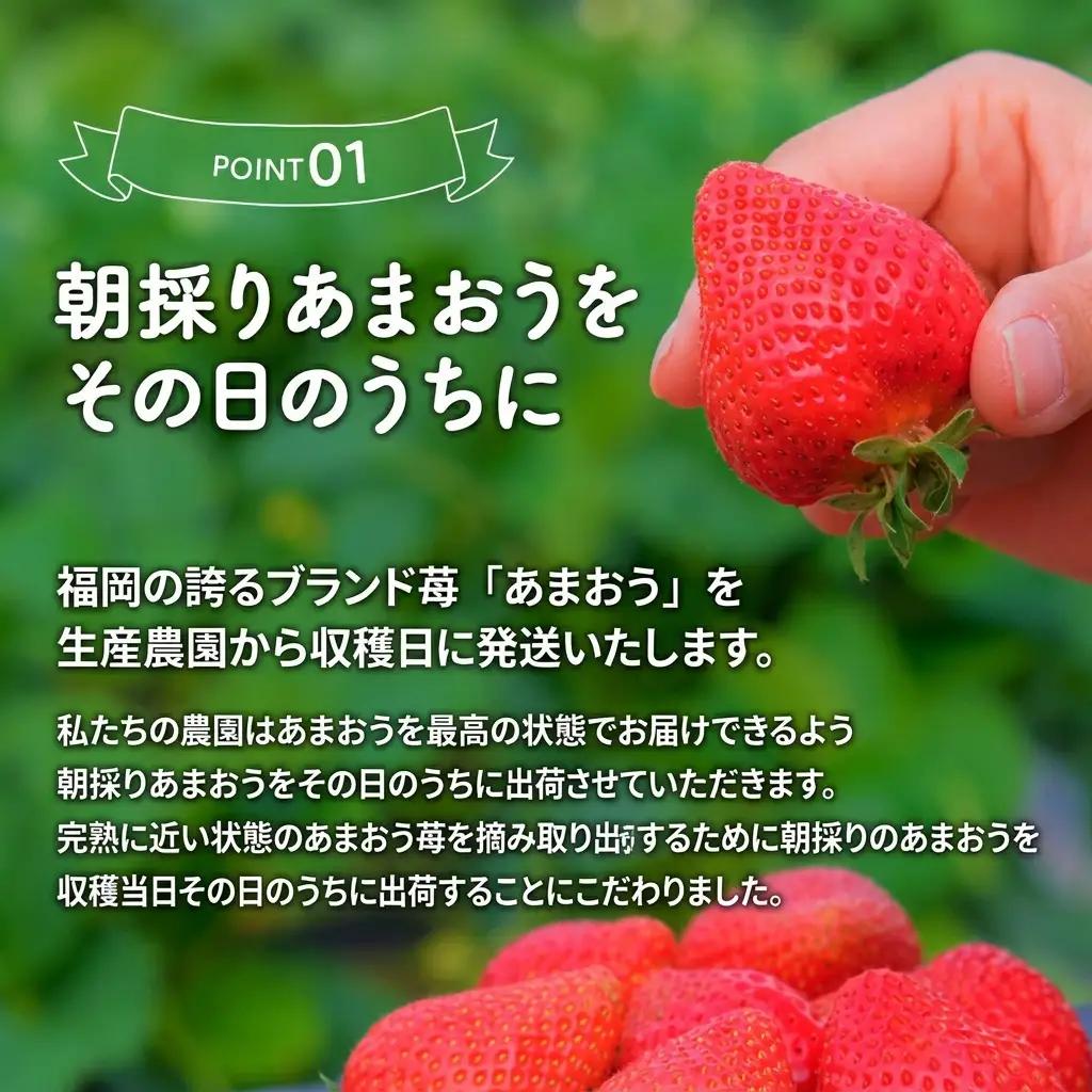いちご 2027年2月下旬より発送 特選あまおう 400g いちご