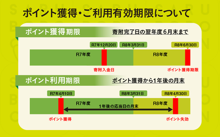 さるぼぼコイン　飛騨市ふるさと納税ポイント 30,000pt [Q2297]
