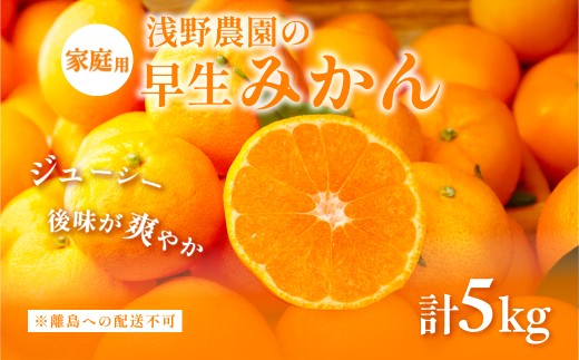【先行予約】浅野農園の早生みかん 家庭用計5kg ※着日指定不可 ※離島への配送不可（2026年11月上旬～11月中旬頃に順次発送予定）  【ふるさと納税 人気 おすすめ ランキング みかん 柑橘 ミカン 蜜柑 mikan 果物 フルーツ オレンジ 家庭用 5kg 早生 愛媛県 伊方町 送料無料】 IKTAC002