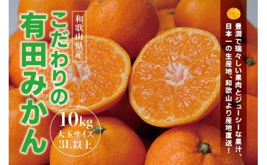 
            【農家直送】有田みかん 約10kg 大玉3L以上 有機質肥料100% /  有田みかん みかん 温州みかん 11000円  柑橘 有田 フルーツ 果物 デザート 家庭用 贈答 和歌山 産地直送 ※2024年12月初旬～1月中旬に順次発送(お届け日指定不可)【nuk139D】
          