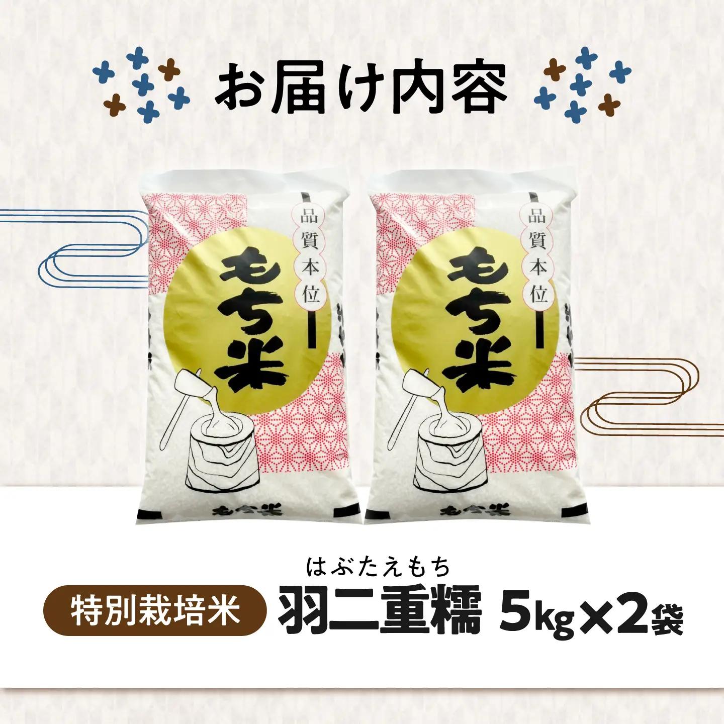 もち米【特別栽培米】羽二重糯（はぶたえもち）5kg×2[AQCQ011] もち米