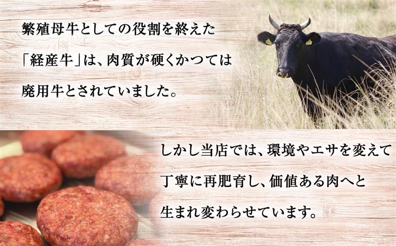 黒毛和牛100% ハンバーグ 100g×6個 ＜ミクリヤ畜産＞ [CFD025]