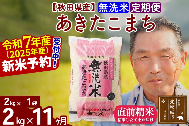 令和7年産《定期便11ヶ月》秋田県産 あきたこまち 2kg【無洗米】(2kg小分け袋) 2025年産 お届け時期選べる お届け周期調整可能 隔月に調整OK お米 おおもり [おおもり 秋田 お米 あきたこまち 米どころ 東北 北秋田市 定期便 毎月お届け]|oomr-30111