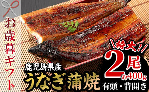 【令和6年お歳暮対応】厳選！ 国産 鹿児島県産 うなぎ  蒲焼 特大 2尾 約400g 鰻養殖生産量日本一 鹿児島県産新仔うなぎ使用 こだわりの地焼き！ 冷凍うなぎ 秘伝のタレ 付き うな重 うな丼 きざみ鰻 うなぎのせいろ蒸し弁当にもオススメ！ 贈答 ギフト にも！【南竹鰻加工】【SB-035H】