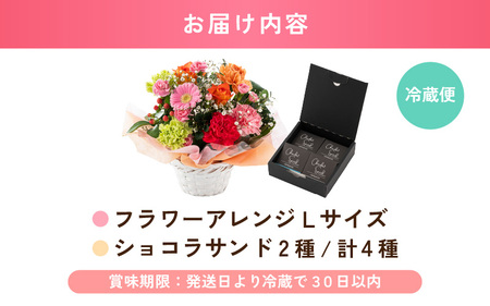 母の日限定！ カーネーション入り フラワーアレンジメントL ＆ ショコラサンド ギフトセット カラフル [C-20703_03]
