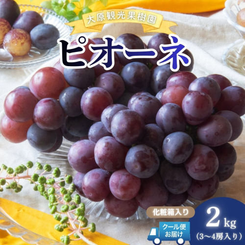 【2026年先行予約】［大原観光果樹園］ピオーネ 3～4房（約2kg）化粧箱入り【026-a013】