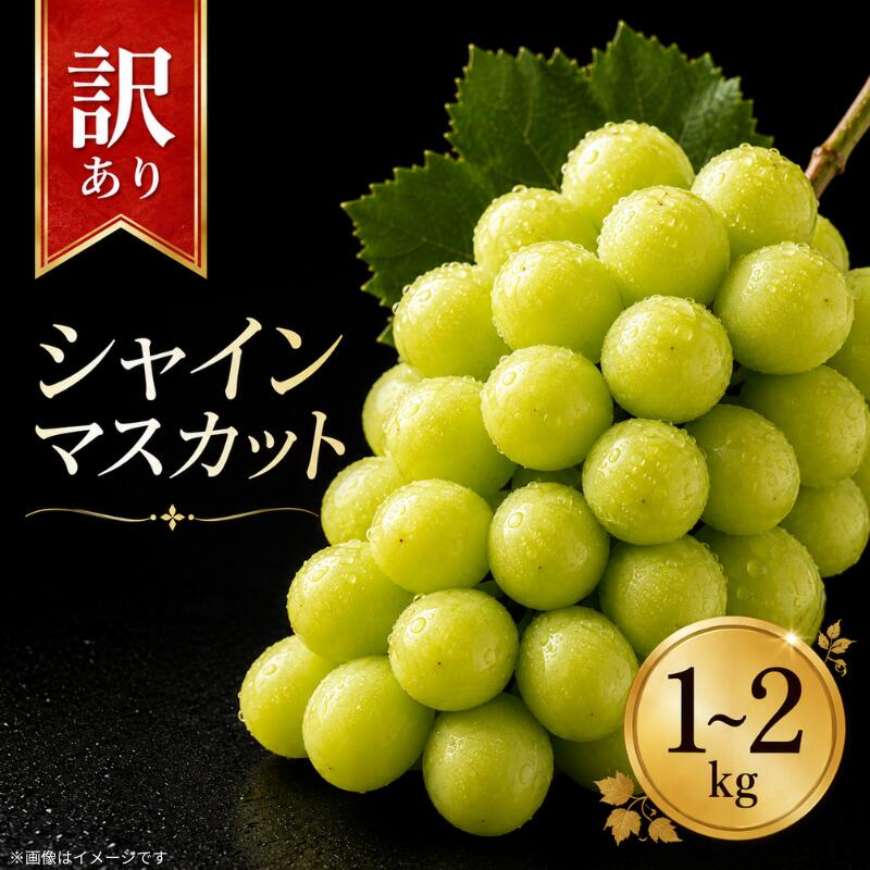 【ふるさと納税】 訳あり シャインマスカット 選べる容量 約1kg 約1.5kg 約2kg ＜ 2026年8月上旬～9月下旬頃発送 ＞ ぶどう 葡萄 マスカット フルーツ 果物 ゼリー ジュース アイス デザート スイーツ ケーキ グルメ 人気 おすすめ 甘い 送料無料 三木ぶどう園 徳島県 阿波市
