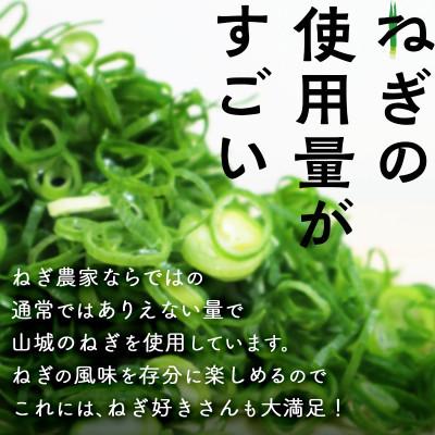 ふるさと納税 木津川市 ねぎに恋するメンチボール　48個入り |  | 02