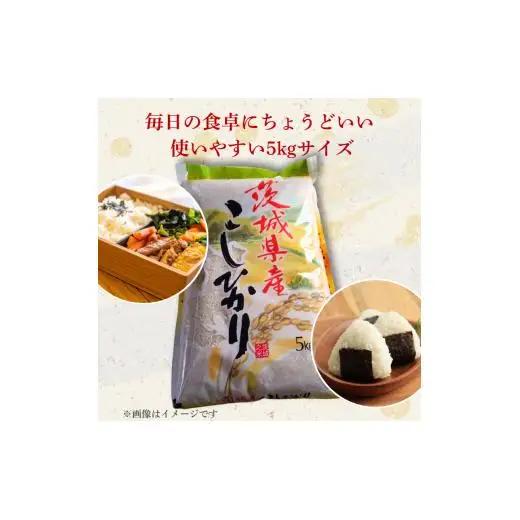 コシヒカリ 10kg（茨城県共通返礼品・城里町産） / 米 こめ コメ お米 おこめ コシヒカリ こしひかり 白米 精米 ごはん ご飯 令和7年産 10kg 茨城県 城里町 利根町