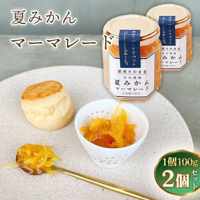 【ふるさと納税】No.084 夏みかんマーマレード100g×2個 ／ 柑橘 ビタミンC 爽やか ママレード 人気 加工食品 手作り 白砂糖不使用 ペクチン不使用 フルーツスプレッド コンフィチュール トッピング 神奈川県産果物 神奈川県 特産品