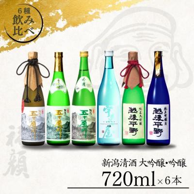 ふるさと納税 三条市 日本酒飲み比べ6本セット (日本酒) [福顔酒造]【057P001】