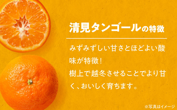 永沼農園のみかんジュースセット（清見タンゴール 720ml×6本）　愛媛県大洲市/永沼農園 [AGAW007]オレンジ フルーツ ミカン 果物 愛媛みかん スムージー デザート おやつ ヨーグルト 調
