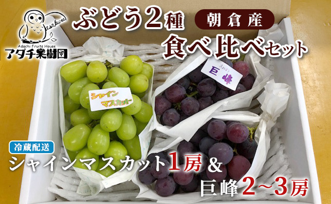 
シャインマスカット 1房 巨峰 2～3房 ぶどう 食べ比べ セット 2種類 配送不可 離島
