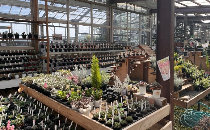 ※生産者である千秋園の店内写真