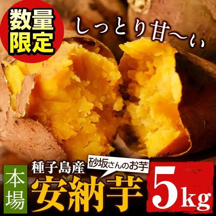 数量限定 安納芋 5kg 種子島 さつまいも 野菜 K-GAP 【砂坂展恵】n173