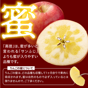 【先行予約】 令和8年産 高徳 りんご 秀以上 約1.8kg