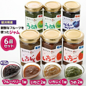 【福井県産】フルーツを使った ジャム 4種 合計6個 （ブルーベリージャム1個 いちじくジャム1個 イチゴジャム2個 梅ジャム2個 ） [m03-a044]