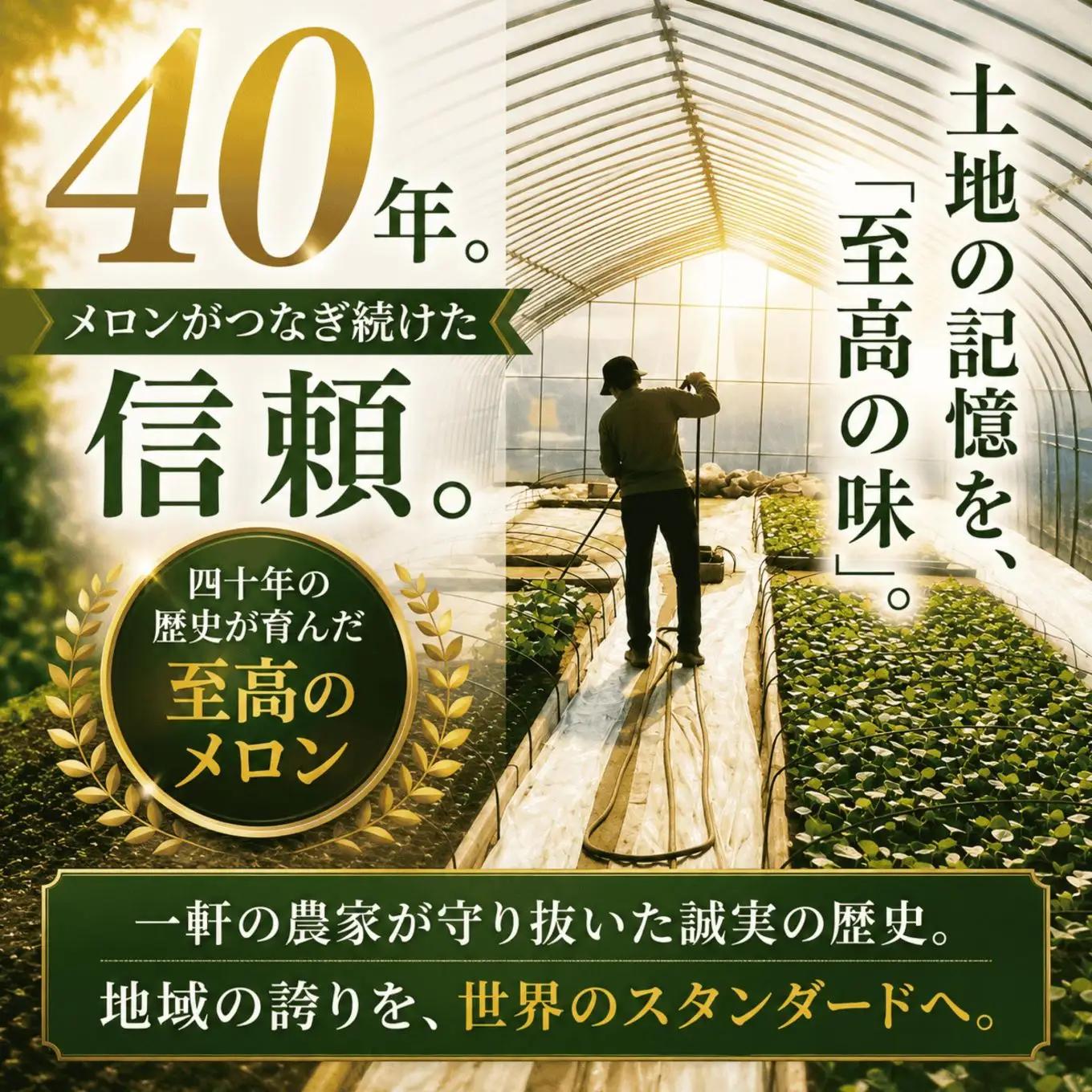 【2027年 先行予約】オトメ 3玉～4玉(約5kg) | 完熟 果物 メロン