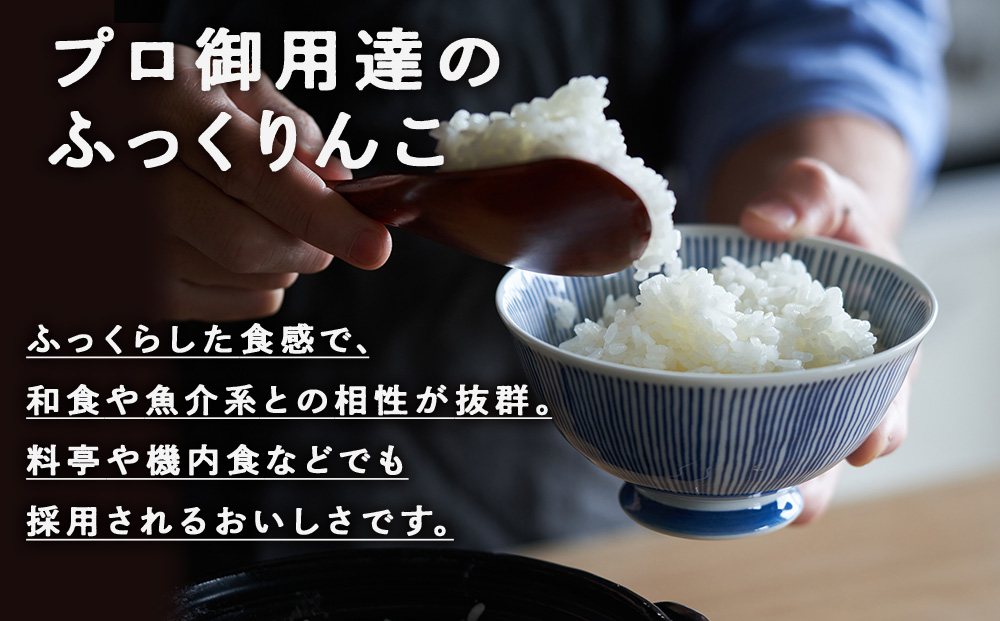 新米予約 ふっくりんこ 5kg 【JA新はこだて】 知内町 ふるさと納税 こめ 北海道産お米 北海道米 美味しいお米 北海道産米 ブランド米