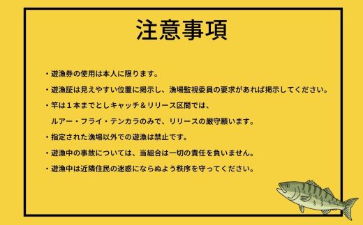 鮎沢川あまご釣り「年券」 ※着日指定不可