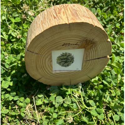 ふるさと納税 与謝野町 天然スギ丸太使用のフォトフレーム【京都府与謝野町】森の美しさを守る自然素材のインテリア |  | 01