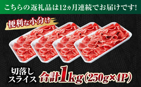 【12回定期便】 飛騨牛 切り落とし 1kg（250g×4P）すき焼き 焼肉 小分け 岐阜市 / 丸福商店[ANBO050]