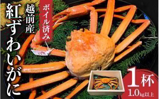 【先行予約！】【産地直送】越前産　紅ずわいがに1.0kg以上×1杯 [D-00904] / ズワイガニ ズワイ蟹 ずわい蟹 ずわい 剥き身 脚 爪 脚 かにしゃぶ カニ鍋 蟹 お歳暮 カニ かに ふるさと納税かに