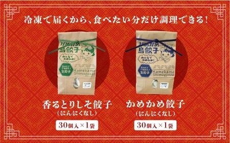 かめかめ島餃子（豚肉・やんばる若鶏 にんにくなし）（ 30個 × 2袋 ） 餃子 冷凍 