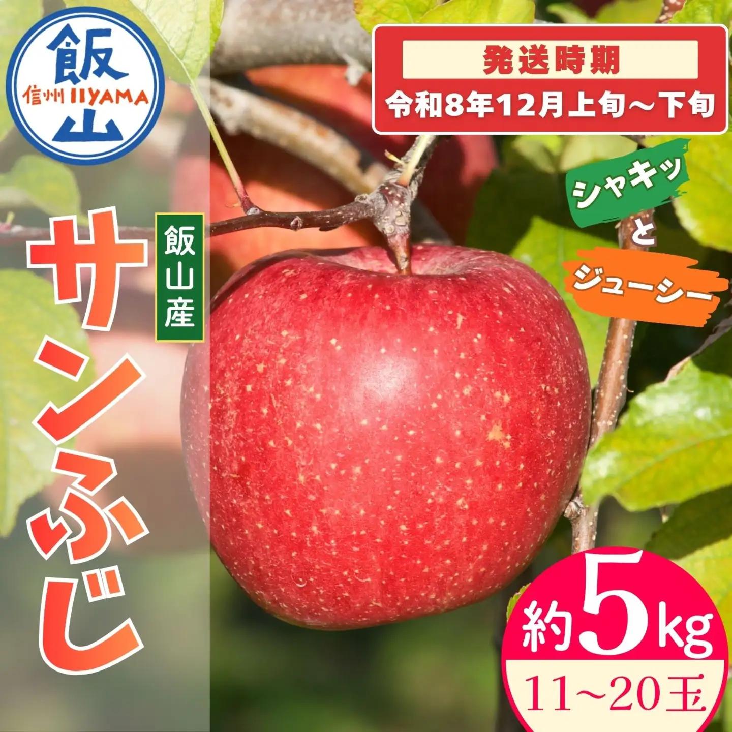 【先行予約丨2026年12月上旬より順次発送】サンふじ【約5kg(11〜20玉)】丨長野県 飯山市 産地直送 りんご(At-031)