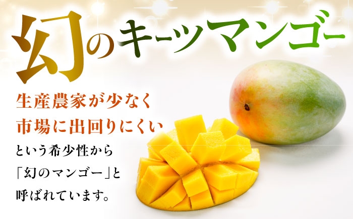 キーツマンゴー マンゴー まんごー 芒果 Mango mango 果物 フルーツ 果実 完熟 国産 特産品 季節限定 数量限定