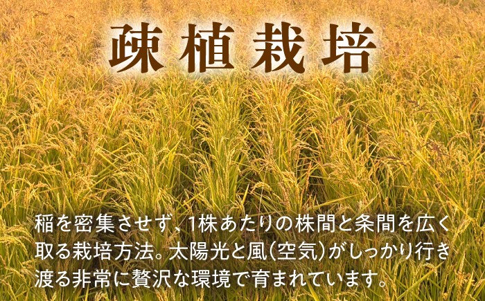 玄米 自然栽培 ななつぼし