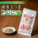 【ふるさと納税】健康五つ星 サプリ サプリメント 美容 麹 米麹 酵素 神の草 日本山人参 ヒュウガトウキ【ひなたふぁーむ】[YBG003]
