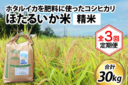 【先行予約】【新米】ほたるいか米（精米10kg）×3回 計30kg【3ヶ月定期便】25年10月開始